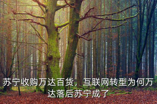 蘇寧收購萬達百貨，互聯(lián)網(wǎng)轉(zhuǎn)型為何萬達落后蘇寧成了