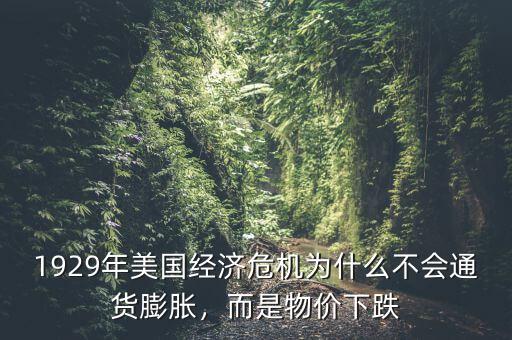 1929年美國經(jīng)濟(jì)危機(jī)為什么不會通貨膨脹，而是物價下跌