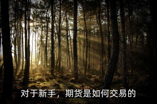 對于新手，期貨是如何交易的