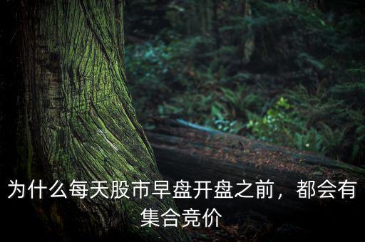 為什么每天股市早盤開盤之前，都會(huì)有集合競(jìng)價(jià)
