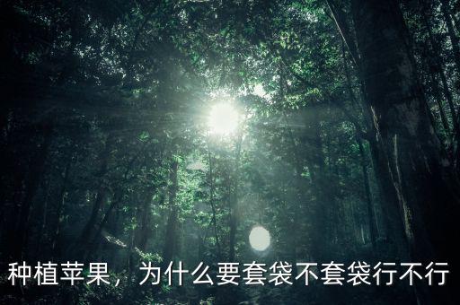 種植蘋果，為什么要套袋不套袋行不行