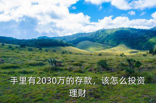 手里有2030萬的存款，該怎么投資理財