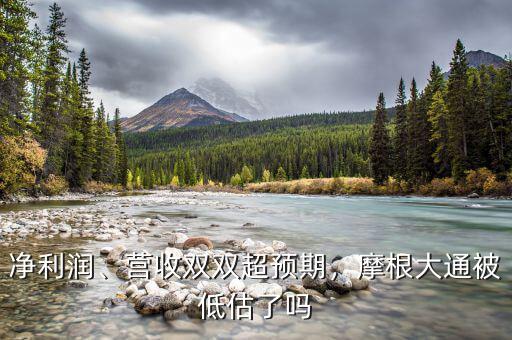 凈利潤(rùn)、營(yíng)收雙雙超預(yù)期，摩根大通被低估了嗎