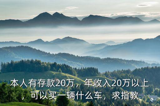 本人有存款20萬，年收入20萬以上，可以買一輛什么車，求指教