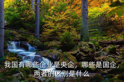 我國有哪些企業(yè)是央企，哪些是國企，兩者的區(qū)別是什么