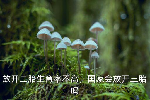 放開二胎生育率不高，國家會放開三胎嗎
