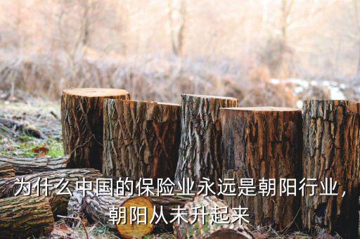 保險(xiǎn)行業(yè)為什么是朝陽(yáng)行業(yè),你覺(jué)得保險(xiǎn)是朝陽(yáng)行業(yè)嗎