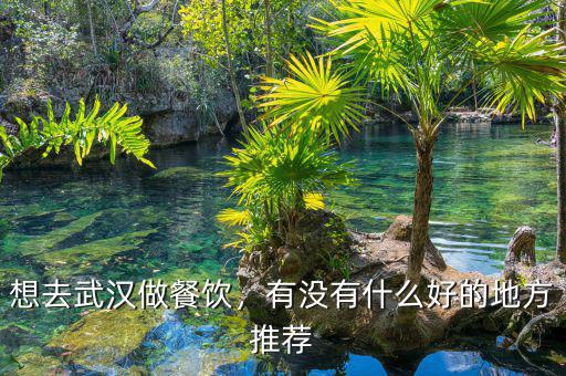想去武漢做餐飲，有沒有什么好的地方推薦