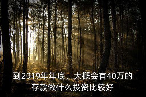 到2019年年底，大概會有40萬的存款做什么投資比較好