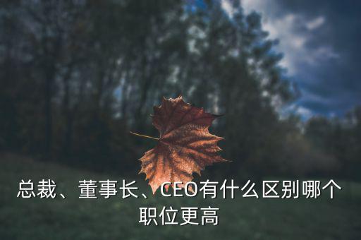 總裁、董事長、CEO有什么區(qū)別哪個職位更高