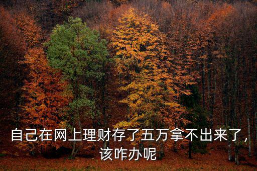 自己在網(wǎng)上理財存了五萬拿不出來了，該咋辦呢