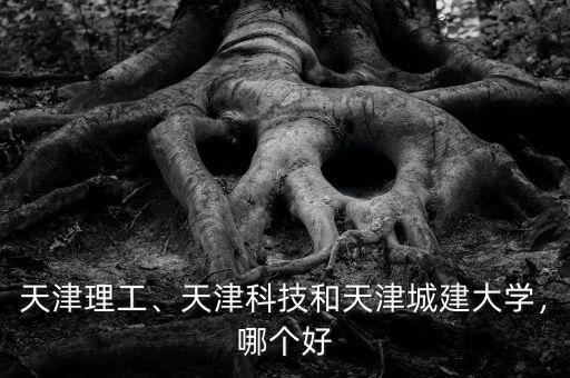 天津理工、天津科技和天津城建大學(xué)，哪個(gè)好