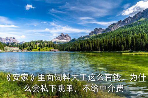 《安家》里面飼料大王這么有錢，為什么會私下跳單，不給中介費