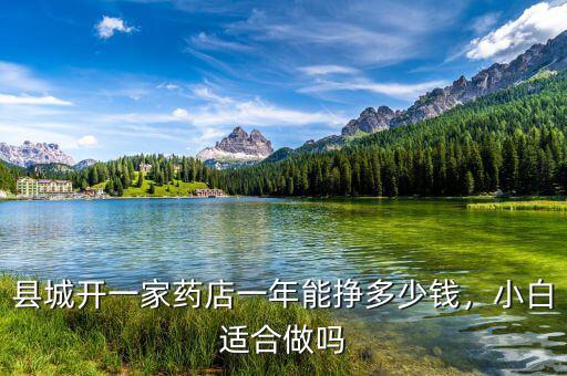 縣城開一家藥店一年能掙多少錢，小白適合做嗎