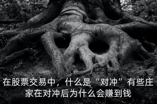 在股票交易中，什么是“對(duì)沖”有些莊家在對(duì)沖后為什么會(huì)賺到錢
