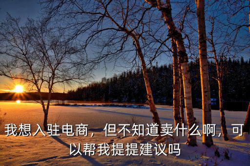 我想入駐電商，但不知道賣什么啊，可以幫我提提建議嗎