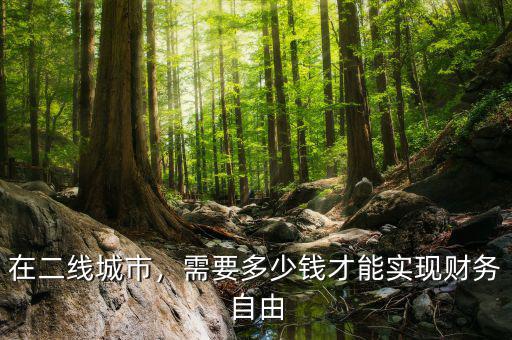 在二線城市，需要多少錢才能實(shí)現(xiàn)財(cái)務(wù)自由