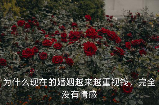 為什么現(xiàn)在的婚姻越來越重視錢，完全沒有情感