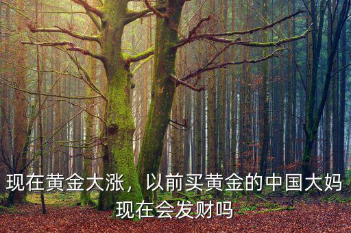 現(xiàn)在黃金大漲，以前買(mǎi)黃金的中國(guó)大媽現(xiàn)在會(huì)發(fā)財(cái)嗎