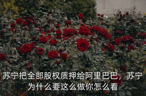 蘇寧把全部股權質押給阿里巴巴，蘇寧為什么要這么做你怎么看