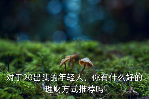 對(duì)于20出頭的年輕人，你有什么好的理財(cái)方式推薦嗎
