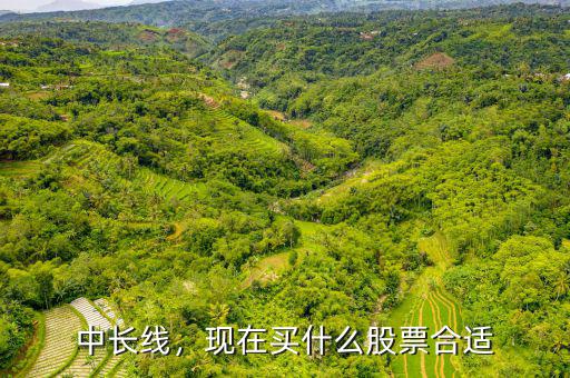 中長(zhǎng)線，現(xiàn)在買什么股票合適