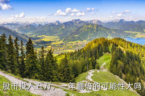 股市投入五萬，一年翻倍的可能性大嗎