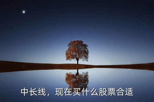 中長(zhǎng)線，現(xiàn)在買什么股票合適