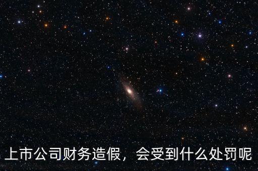 上市公司財(cái)務(wù)造假，會(huì)受到什么處罰呢