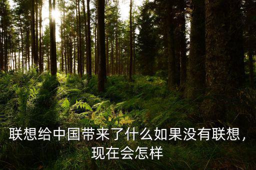 聯(lián)想給中國帶來了什么如果沒有聯(lián)想，現(xiàn)在會怎樣