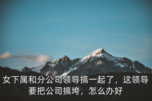 女下屬和分公司領(lǐng)導搞一起了，這領(lǐng)導要把公司搞垮，怎么辦好