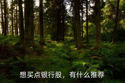 想買點(diǎn)銀行股，有什么推薦