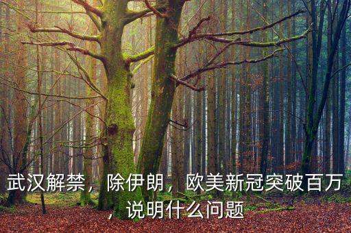 武漢解禁，除伊朗，歐美新冠突破百萬，說明什么問題