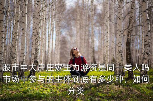 股市中大戶莊家主力游資是同一類人嗎市場(chǎng)中參與的主體到底有多少種，如何分類