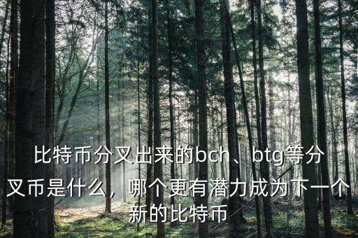 比特幣分叉出來的bch、btg等分叉幣是什么，哪個(gè)更有潛力成為下一個(gè)新的比特幣
