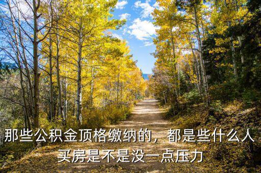 那些公積金頂格繳納的，都是些什么人買(mǎi)房是不是沒(méi)一點(diǎn)壓力