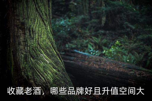 收藏老酒，哪些品牌好且升值空間大