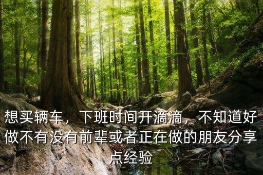 想買輛車，下班時間開滴滴，不知道好做不有沒有前輩或者正在做的朋友分享點經(jīng)驗