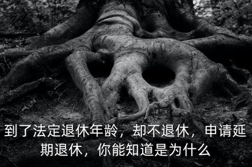 到了法定退休年齡，卻不退休，申請(qǐng)延期退休，你能知道是為什么