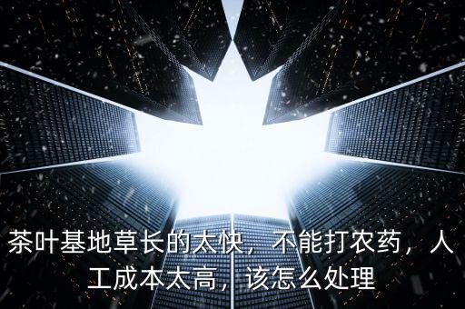 茶葉基地草長的太快，不能打農(nóng)藥，人工成本太高，該怎么處理