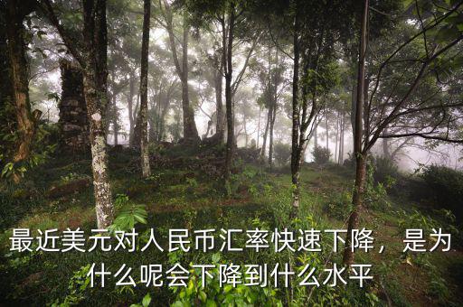 最近美元對人民幣匯率快速下降，是為什么呢會下降到什么水平