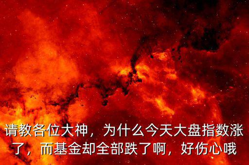 請教各位大神，為什么今天大盤指數(shù)漲了，而基金卻全部跌了啊，好傷心哦