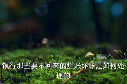 銀行那些要不回來(lái)的爛賬壞賬是如何處理的