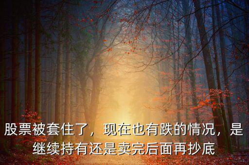 股票被套住了，現(xiàn)在也有跌的情況，是繼續(xù)持有還是賣(mài)完后面再抄底