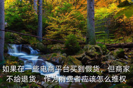 如果在一些電商平臺(tái)買到假貨，但商家不給退貨，作為消費(fèi)者應(yīng)該怎么維權(quán)