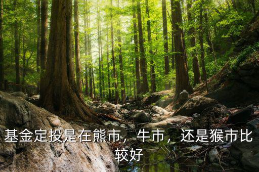基金定投是在熊市，牛市，還是猴市比較好