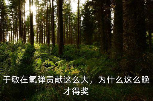 于敏在氫彈貢獻(xiàn)這么大，為什么這么晚才得獎(jiǎng)