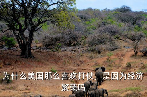 為什么美國那么喜歡打仗，是因?yàn)榻?jīng)濟(jì)繁榮嗎