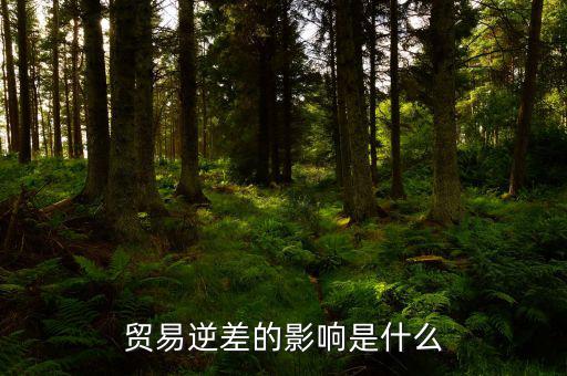 貿易逆差的影響是什么