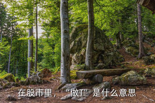 在股市里，“做T”是什么意思